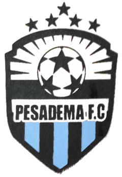 cropped-cropped-Logo-PESA-1.png